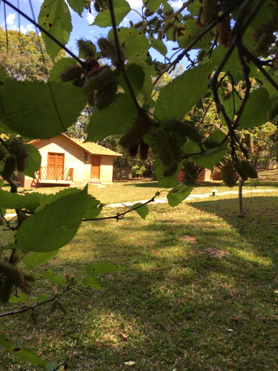 Chales Da Estrada Velha ทีราเดนเจส ภายนอก รูปภาพ