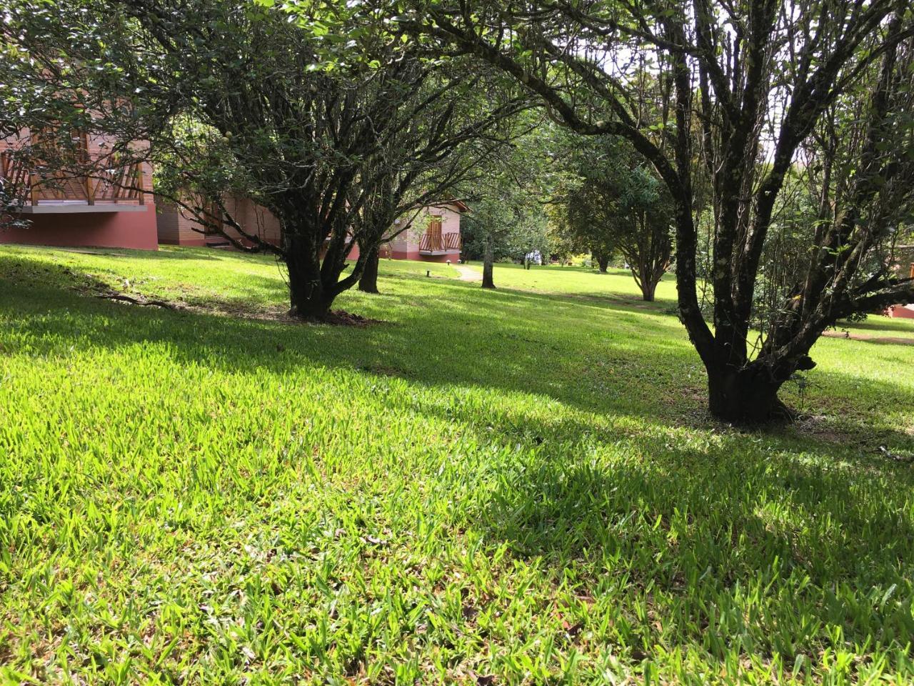 Chales Da Estrada Velha ทีราเดนเจส ภายนอก รูปภาพ